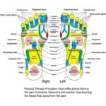 Acupressure Reflexology Mat - Image 3