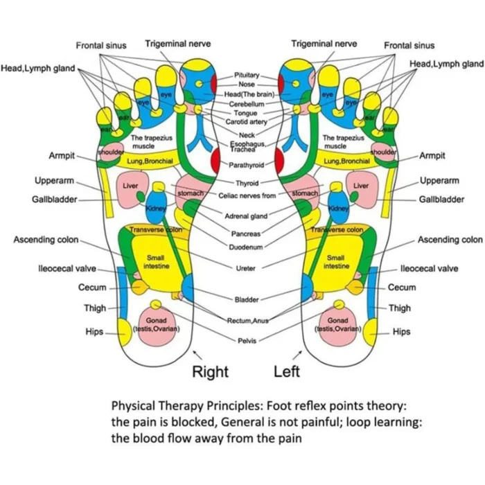 Acupressure Reflexology Mat - Image 3